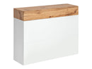 Easy EY-09 Shoe Cabinet in White Gloss