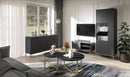 Pula TV Cabinet 101cm in Black Portland Ash