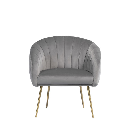 Stylish Velvet Accent Chair for Domestic and Commercial Use in Grey