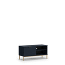 Pula TV Cabinet 101cm in Navy