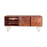 Dark Gold Plasma Media Unit