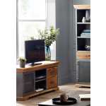 Metropolis Industrial TV Media Unit