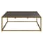 Fomalhaut Wooden Coffee Table With Gold Metal Frame In Brown