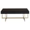 Meleph Black Mirrored Coffee Table With Gold Steel Frame